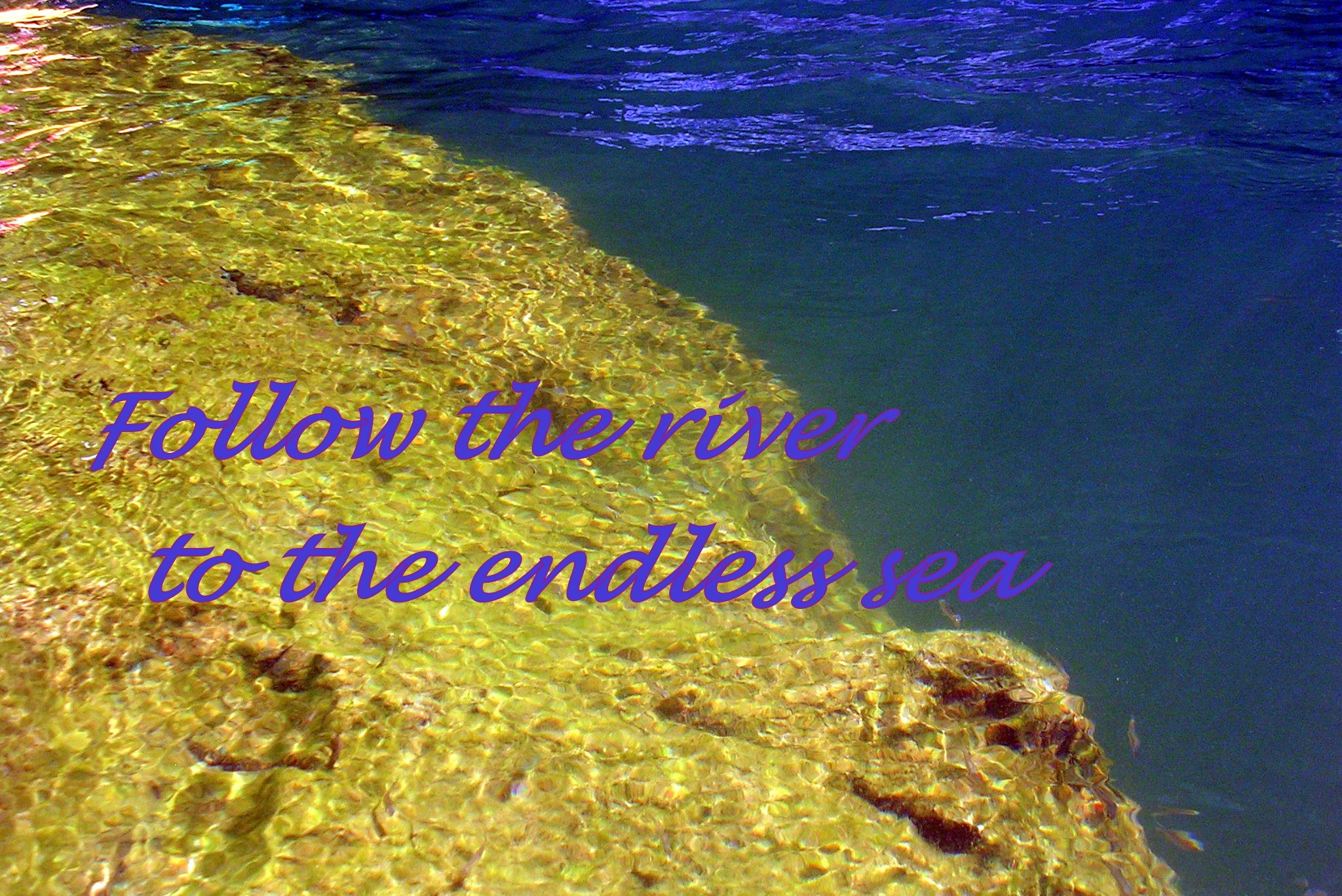 Follow the river to the endless sea - Cosmic Art Card