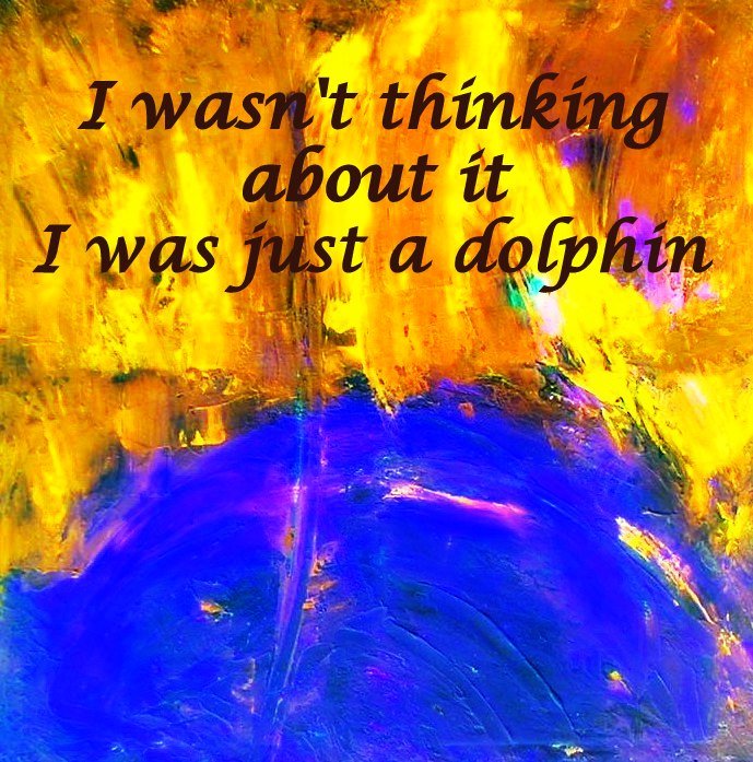 I wasnt thinking about it I was just a dolphin - Cosmic Art Card