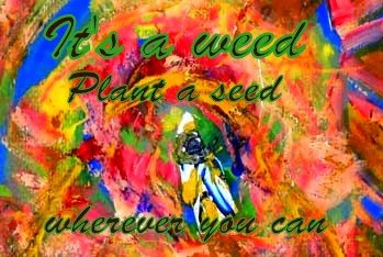 Its a weed Plant a seed wherever you can - Cosmic Art Card