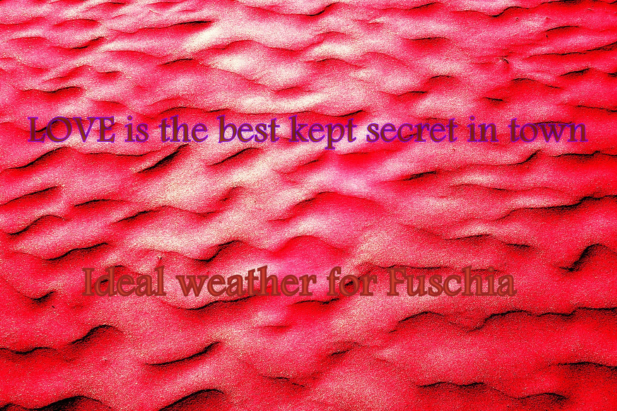 LOVE is the best kept secret in town Ideal weather for Fuschia - Cosmic Art Card depicting emotional essence