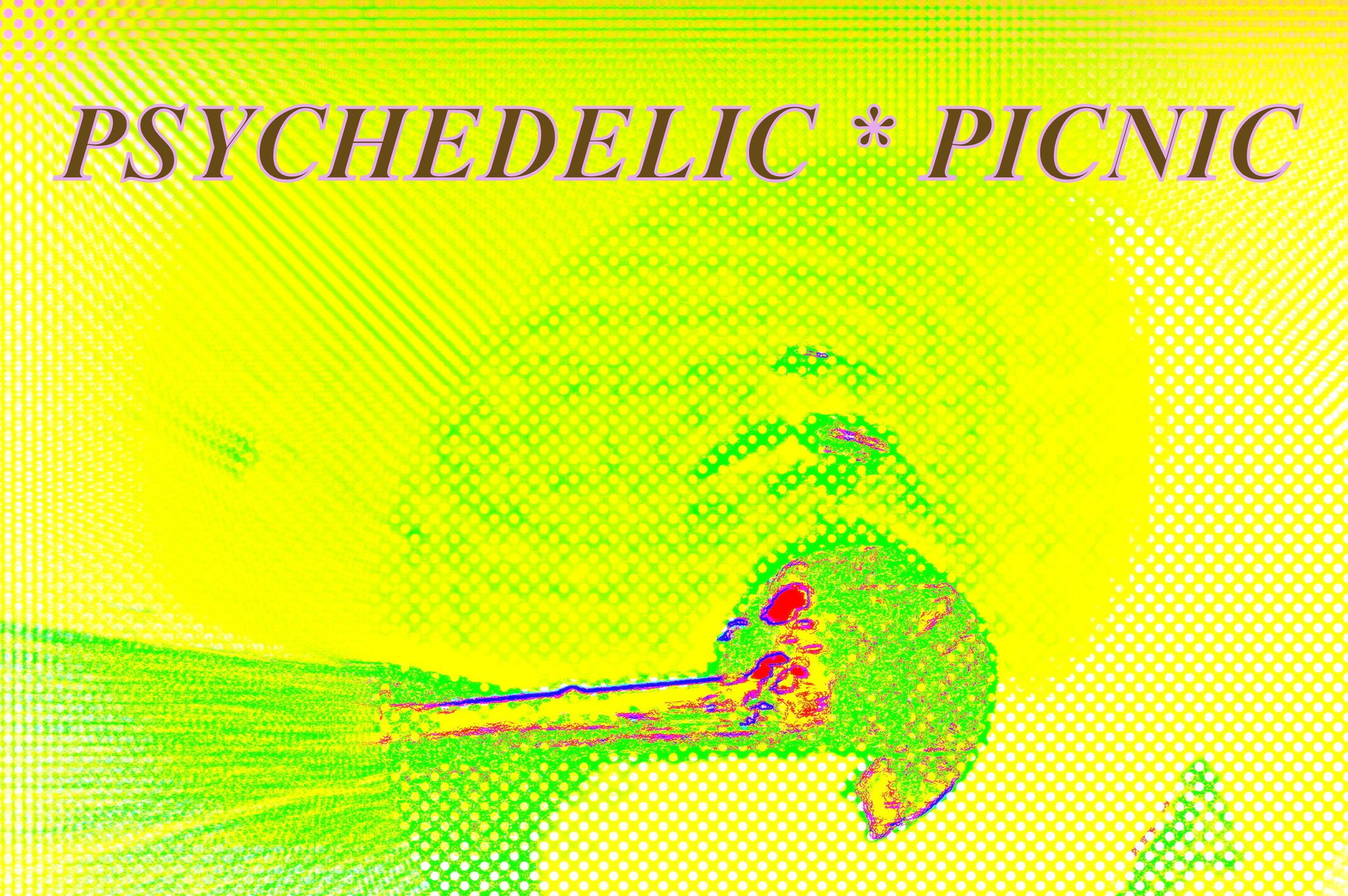 PSYCHEDELIC PICNIC - Cosmic Art Card