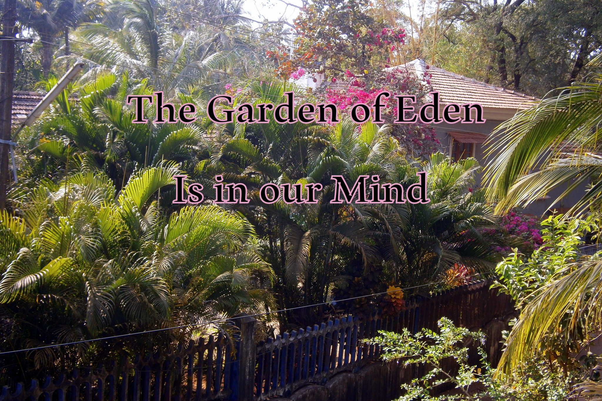 The Garden of Eden Is in our Mind - Cosmic Art Card