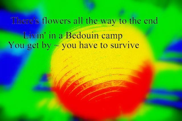 Theres flowers all the way to the end Livin in a Bedouin camp You get by you have to survive - Cosmic Art Card