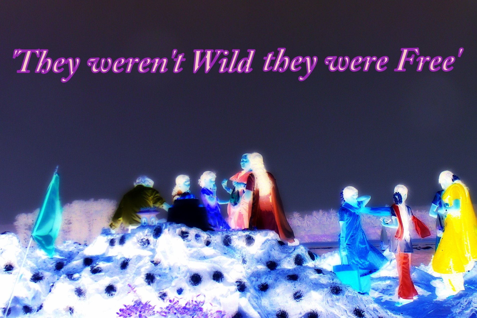 They werent Wild they were Free - Cosmic Art Card