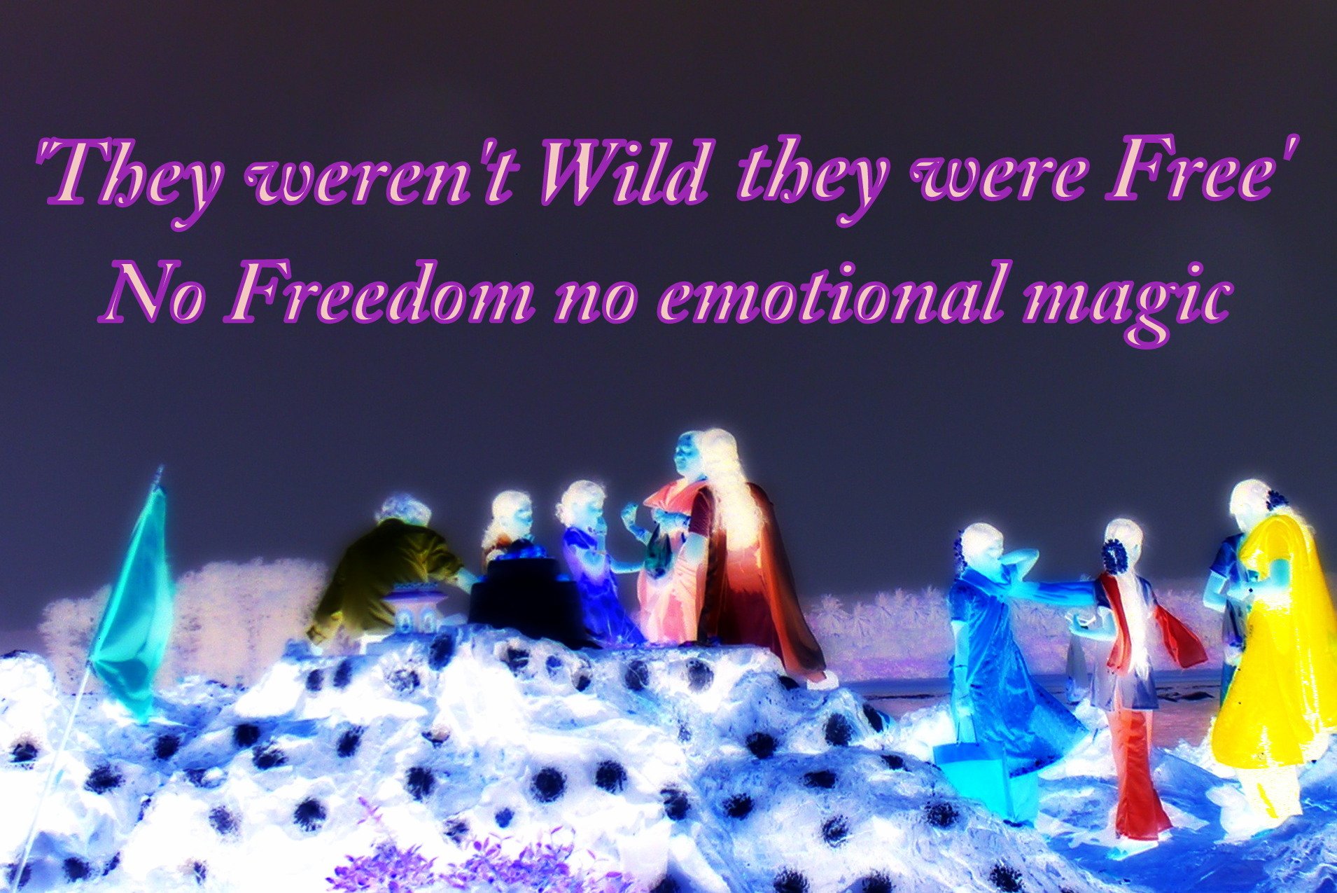 They werent Wild they were Free No Freedom no emotional magic - Cosmic Art Card