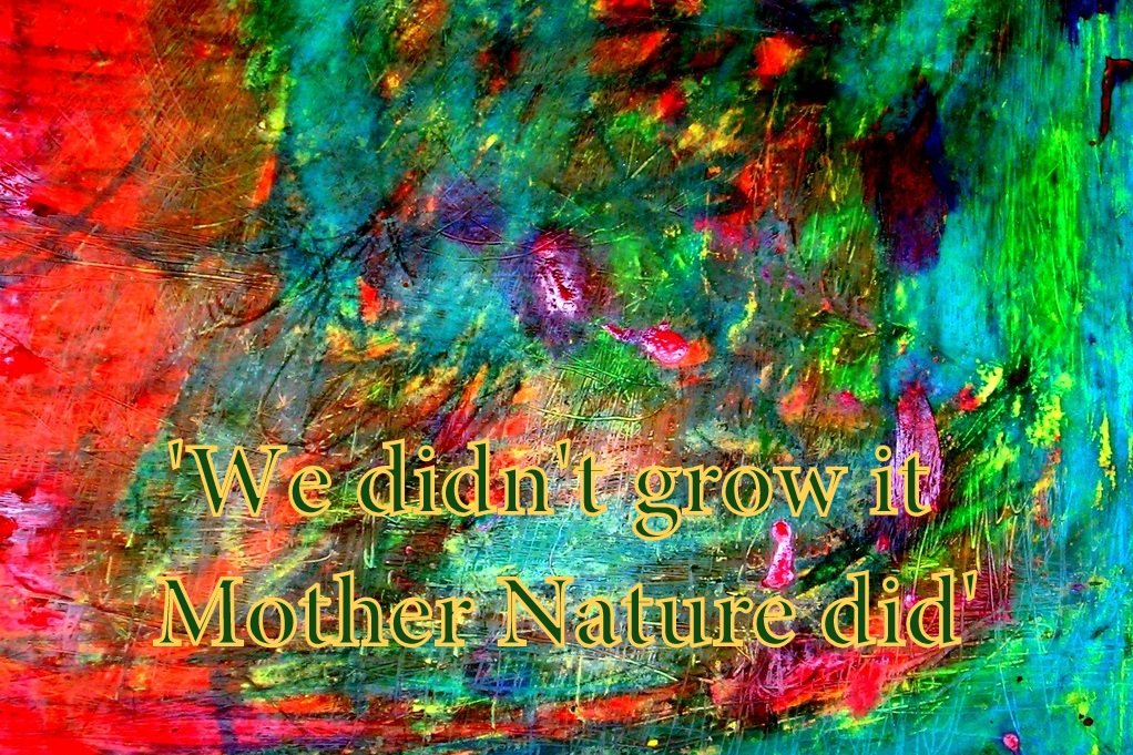 We didnt grow it Mother Nature did - Cosmic Art Card